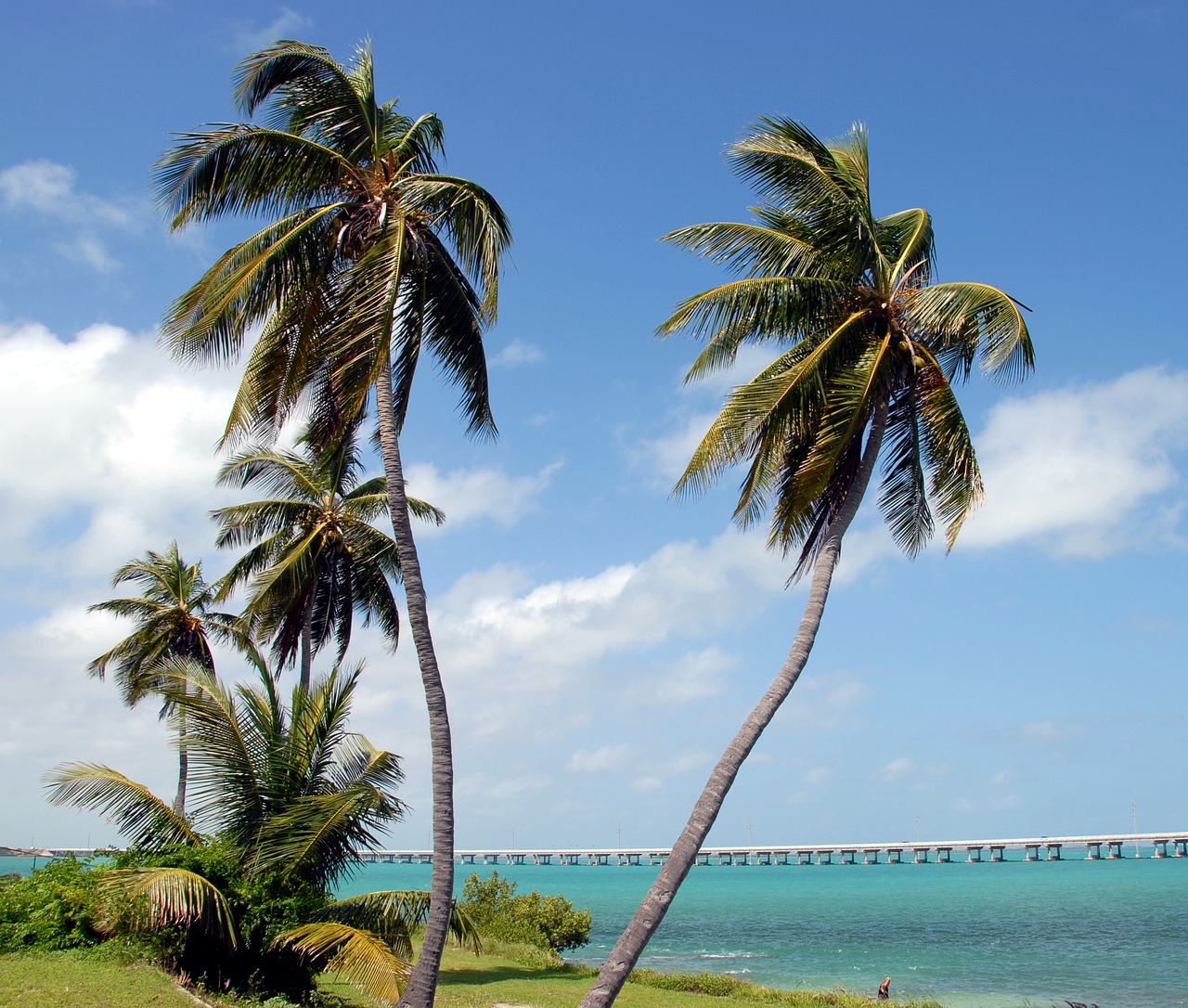 Image - bahia honda state park park florida