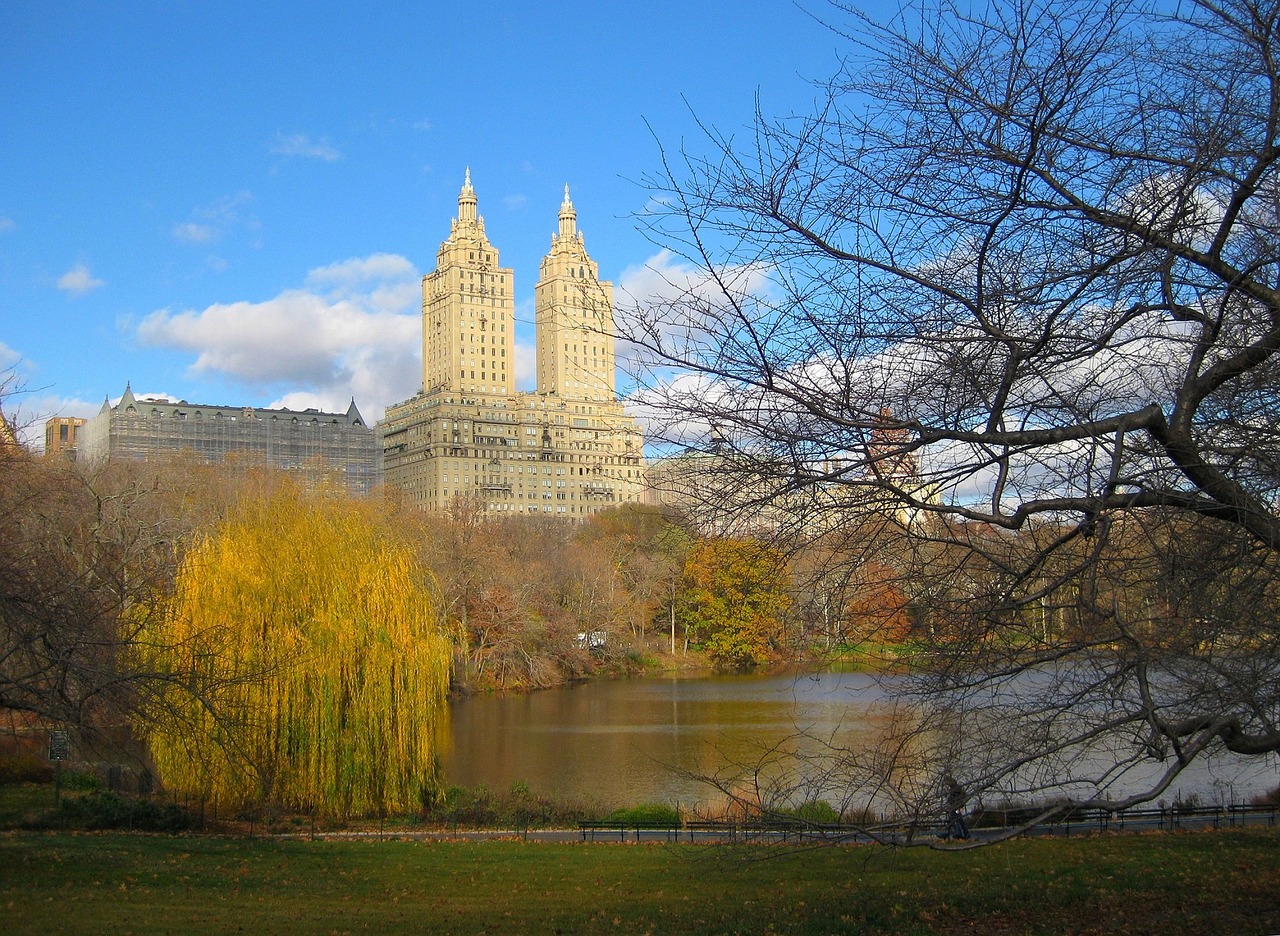 Image - central park manhattan skyline view