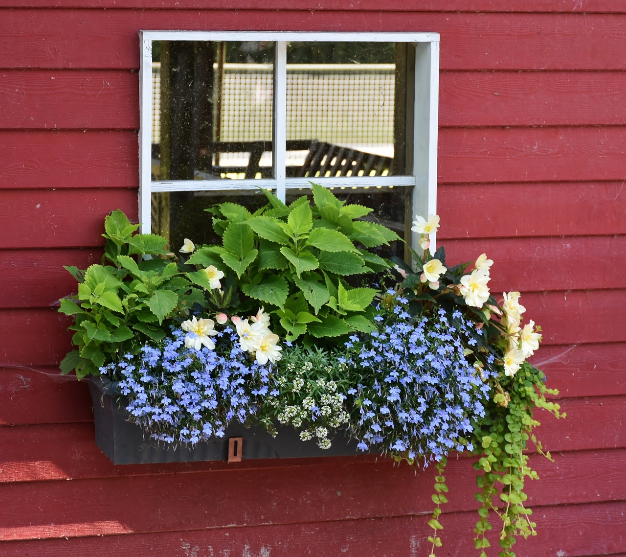 Image - window flowers floral decorations