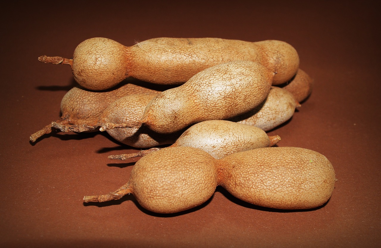 Image - tamarind isolated ripe spice