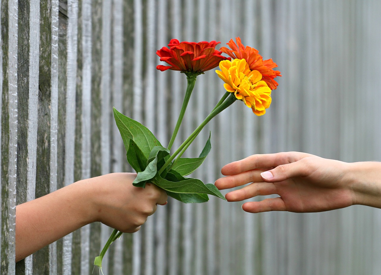 Image - hand bouquet fence gift give