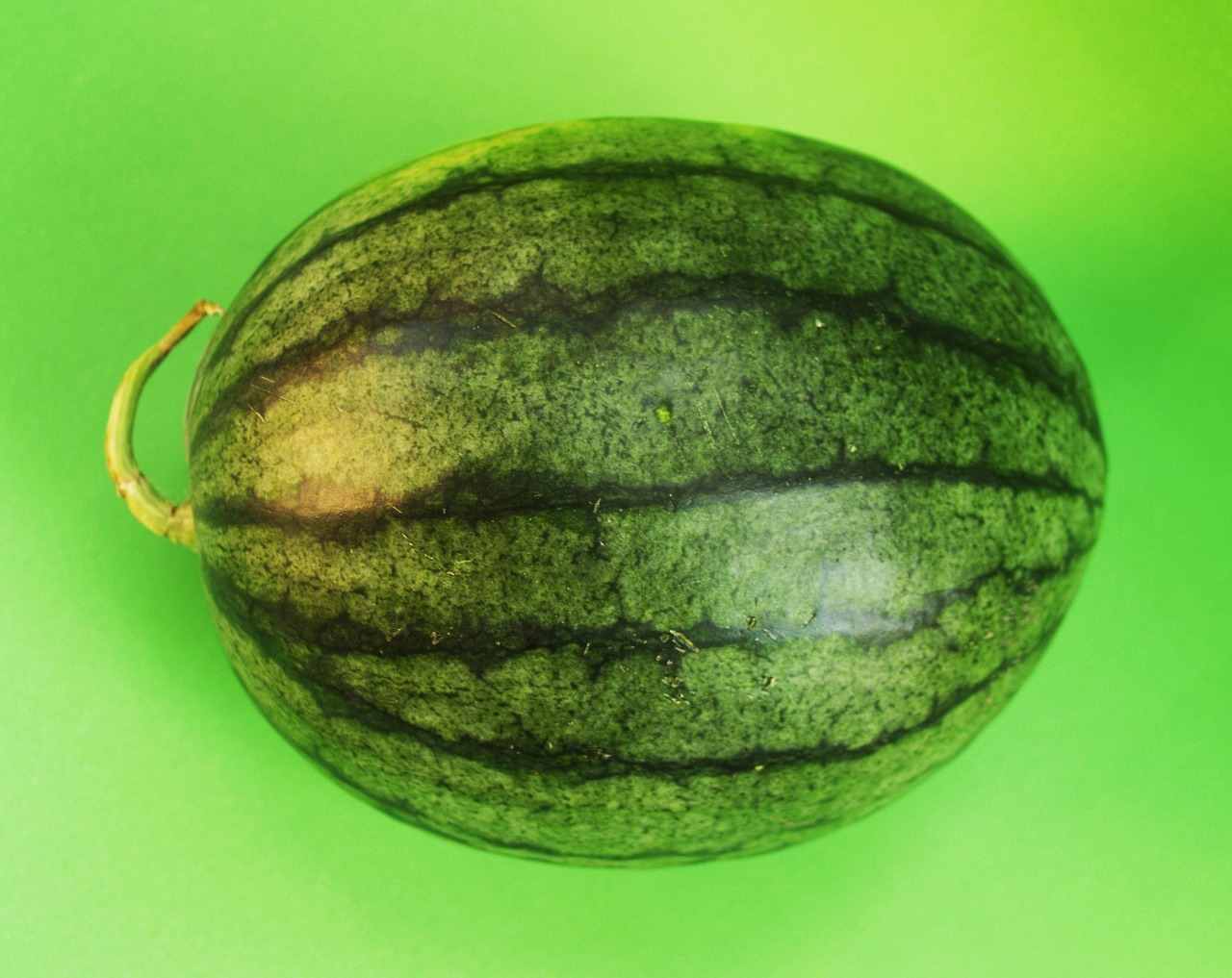 Image - watermelon slice isolated seeded