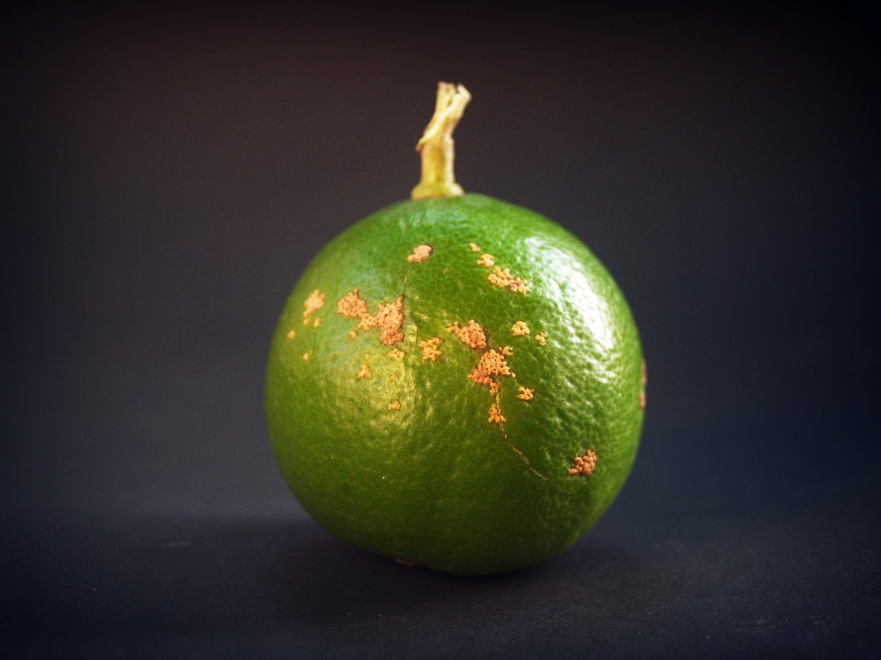 Image - lime lemon slice green whole