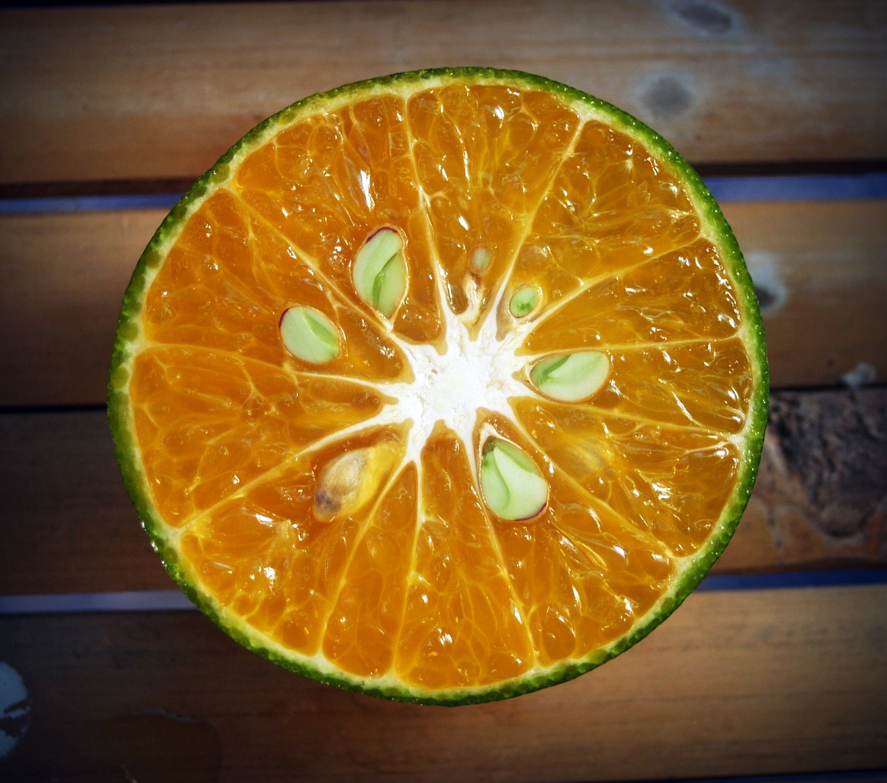 Image - orange fruit slice white citrus