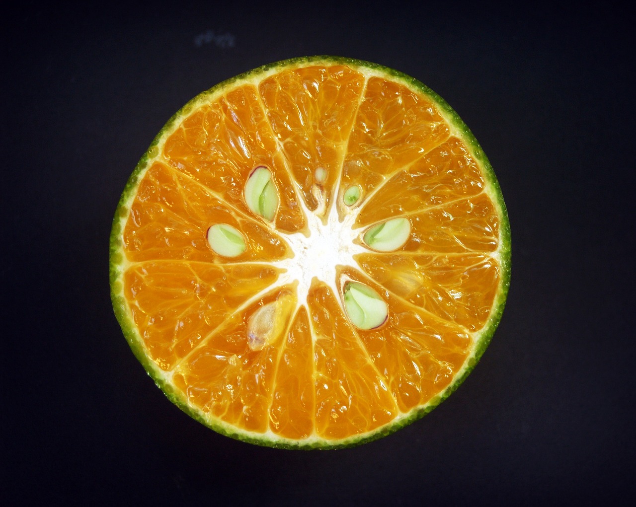 Image - orange fruit slice white citrus