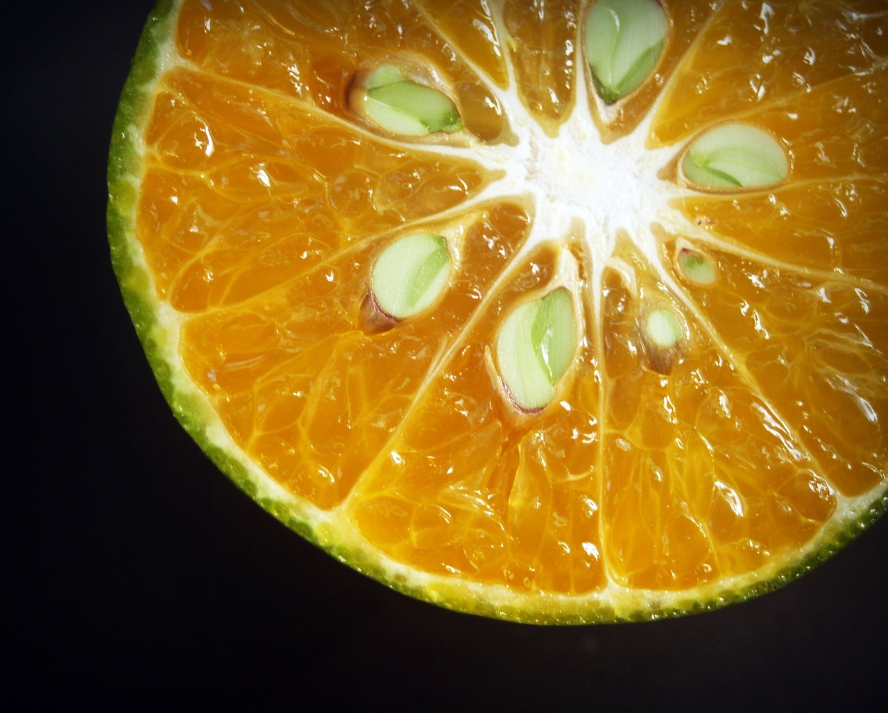 Image - orange fruit slice white citrus