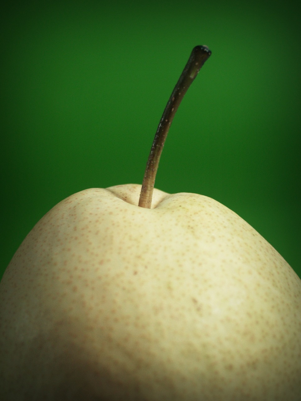 Image - pear asian nashi closeup isolated