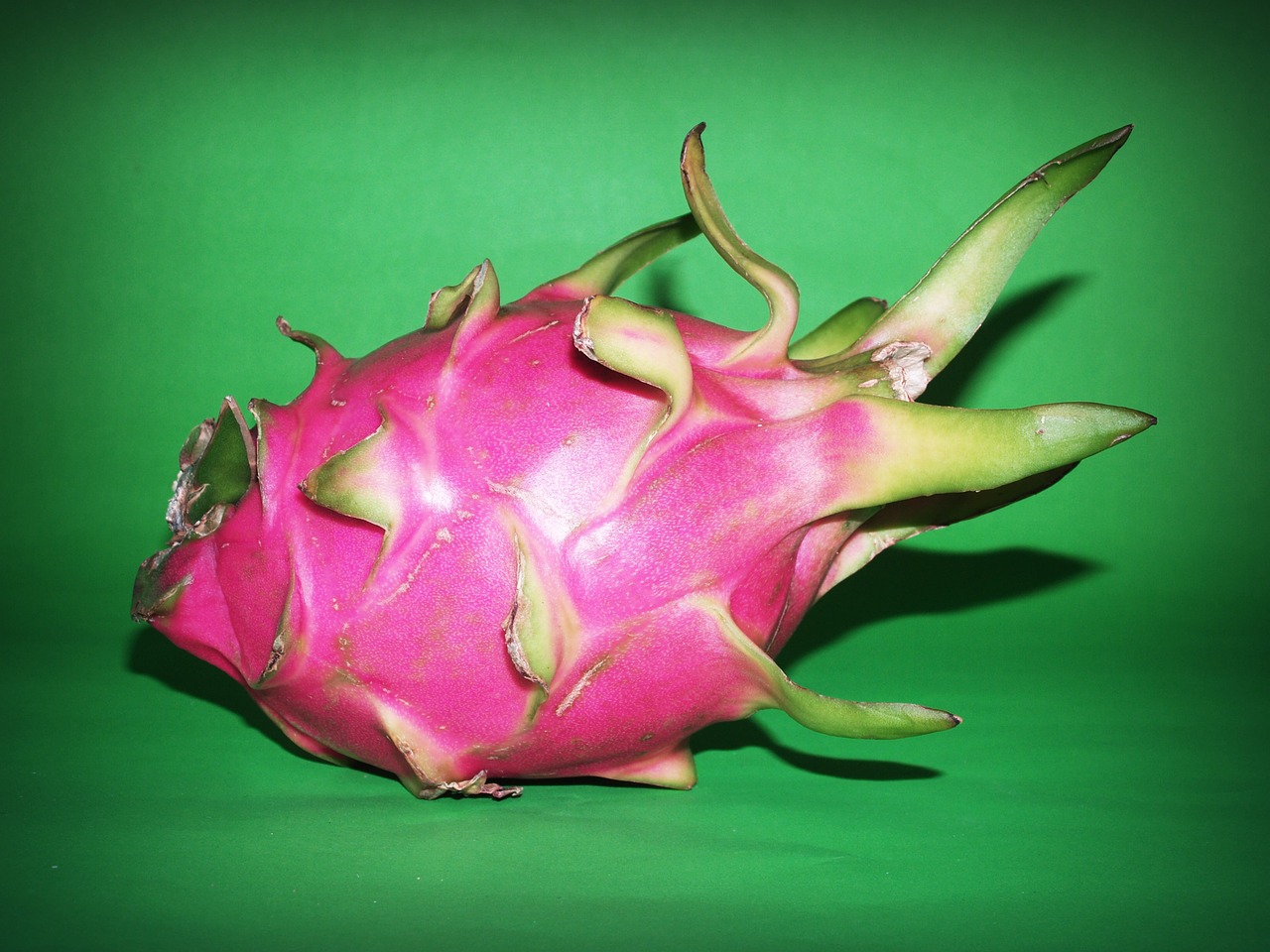Image - fruit dragon closeup isolated
