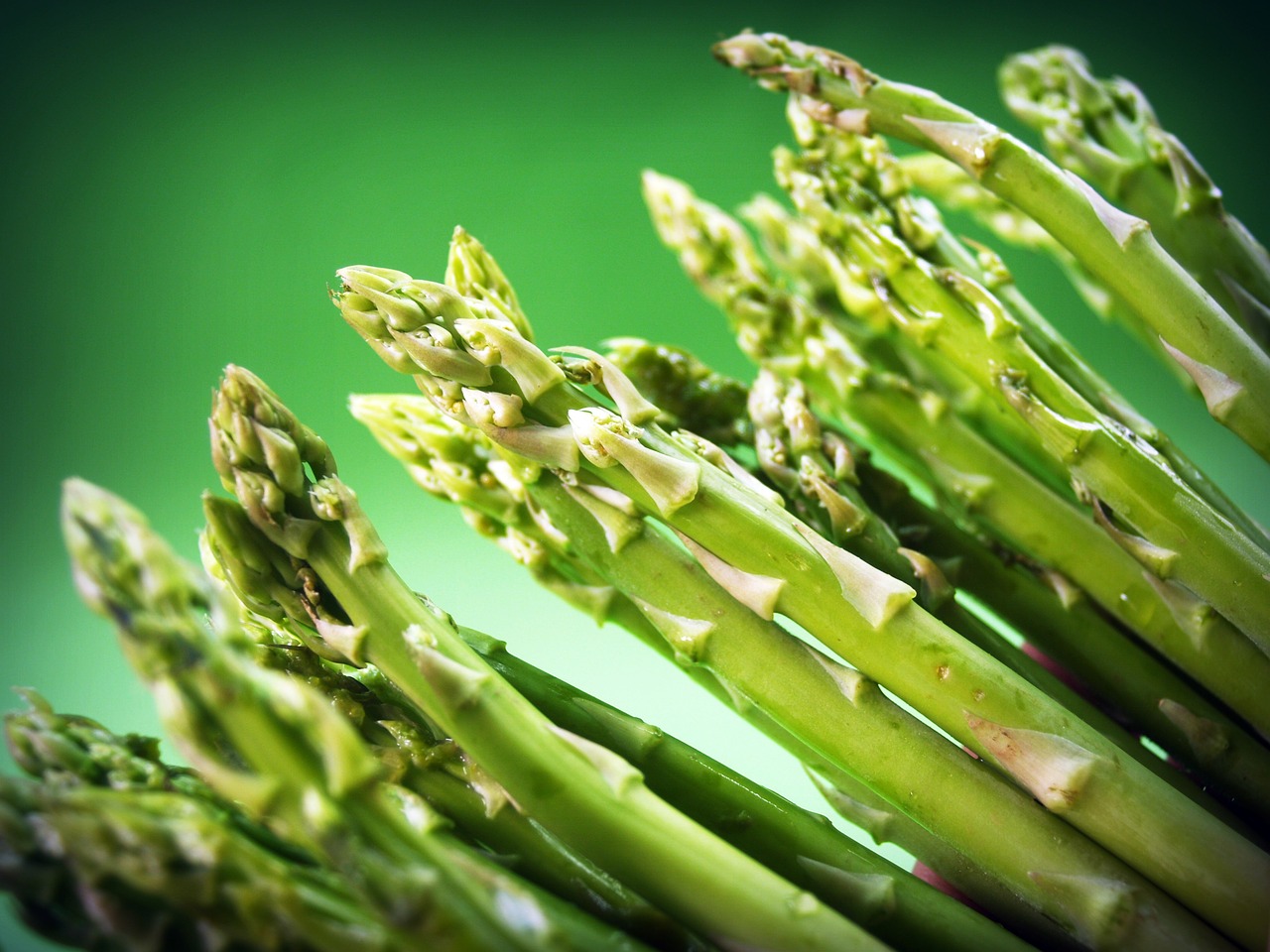 Image - food asparagus gourmet organic