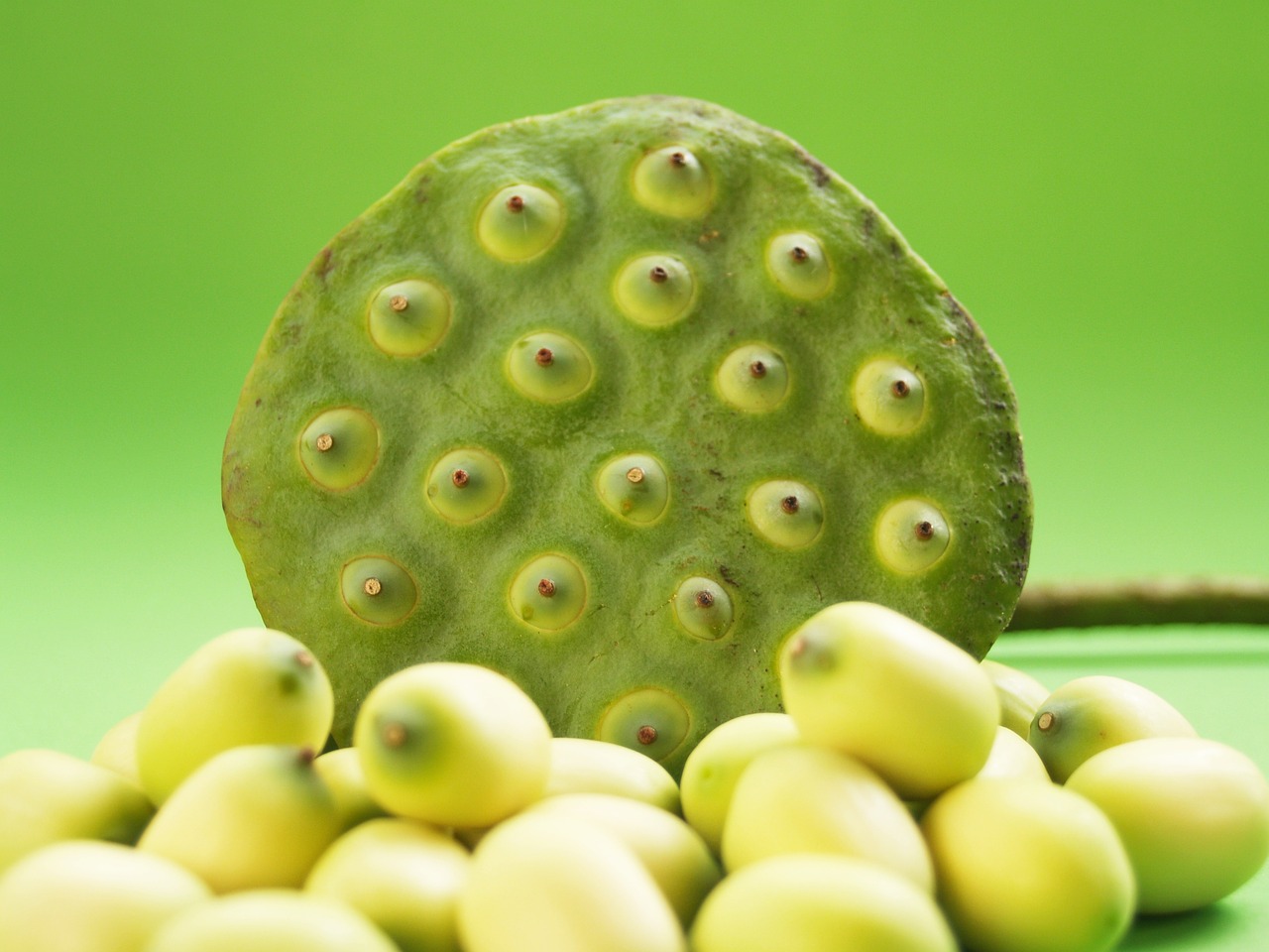 Image - lotus seed flower leaf pod indian