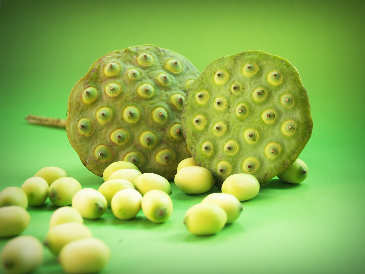 Image - lotus seed flower leaf pod indian