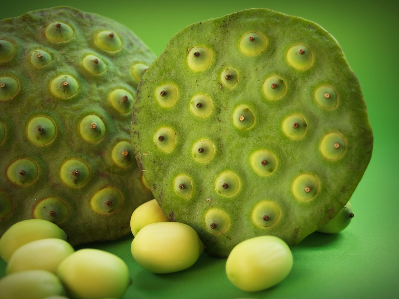 Image - lotus seed flower leaf pod indian