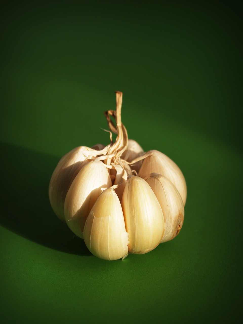 Image - garlic meals seasoning white clove