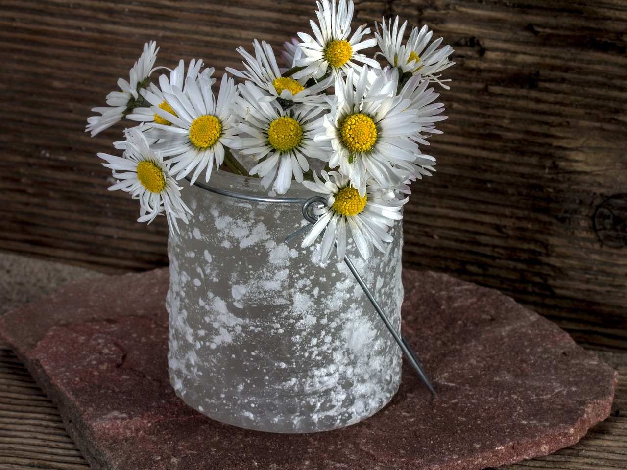 Image - flowers still life daisy