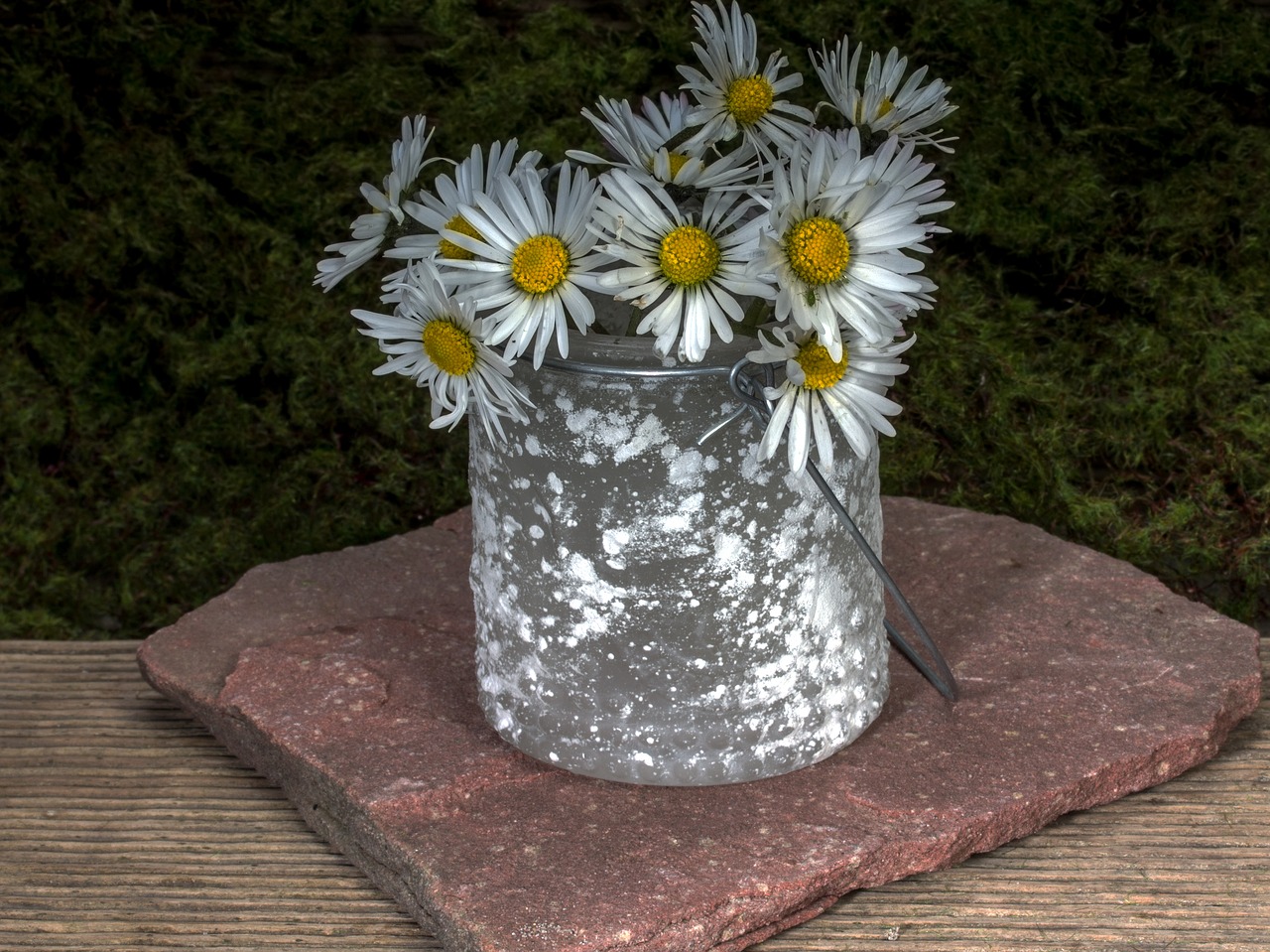 Image - flowers still life daisy