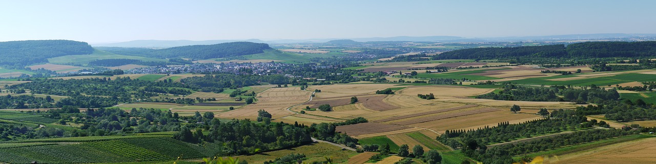Image - panorama fields vineyards
