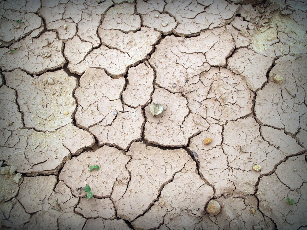 Image - soil rough earth split crack