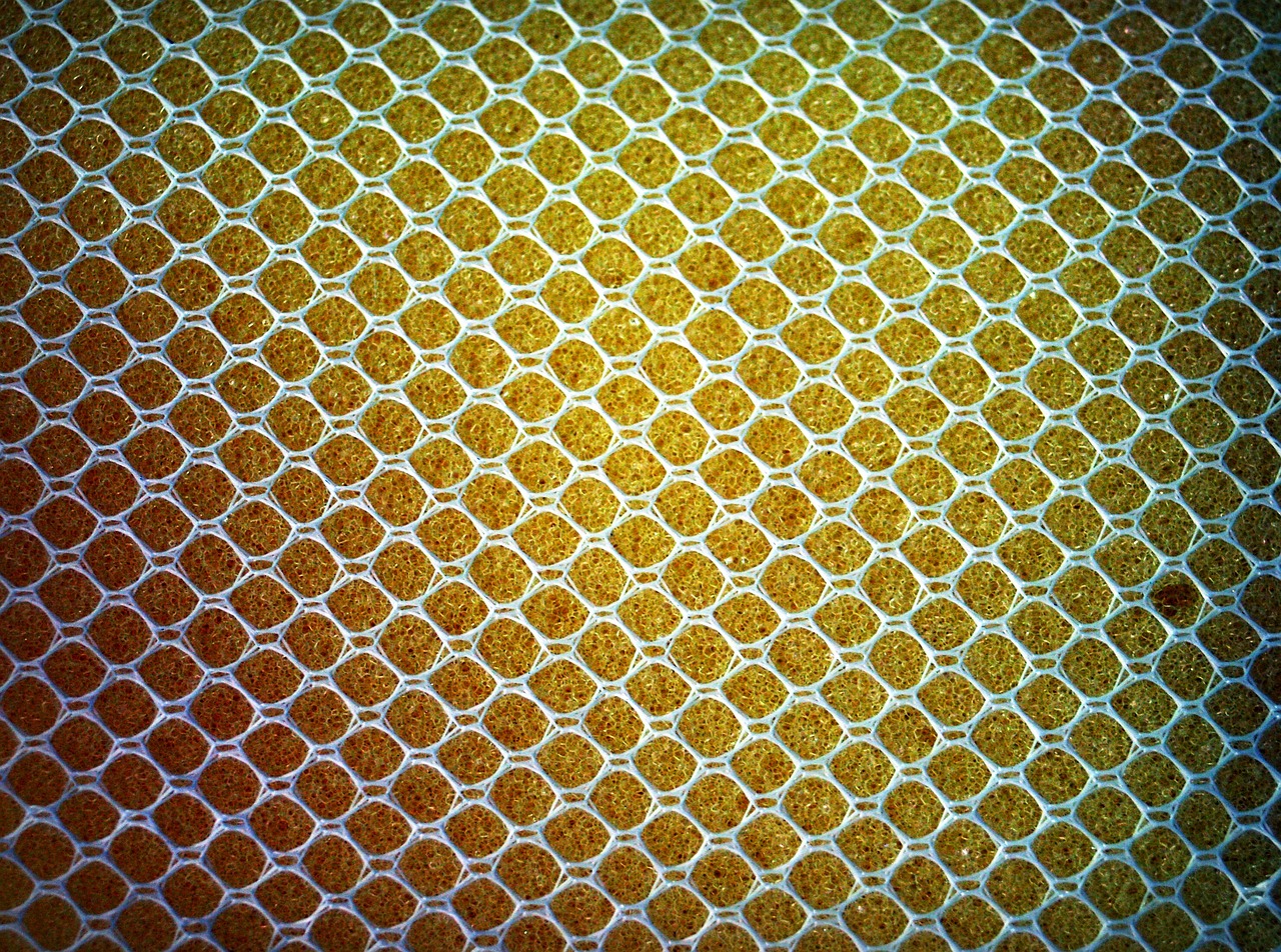 Image - sponge yellow close up gold