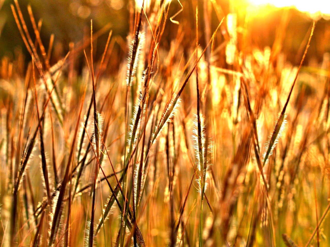 Image - autumn blur calm change concept