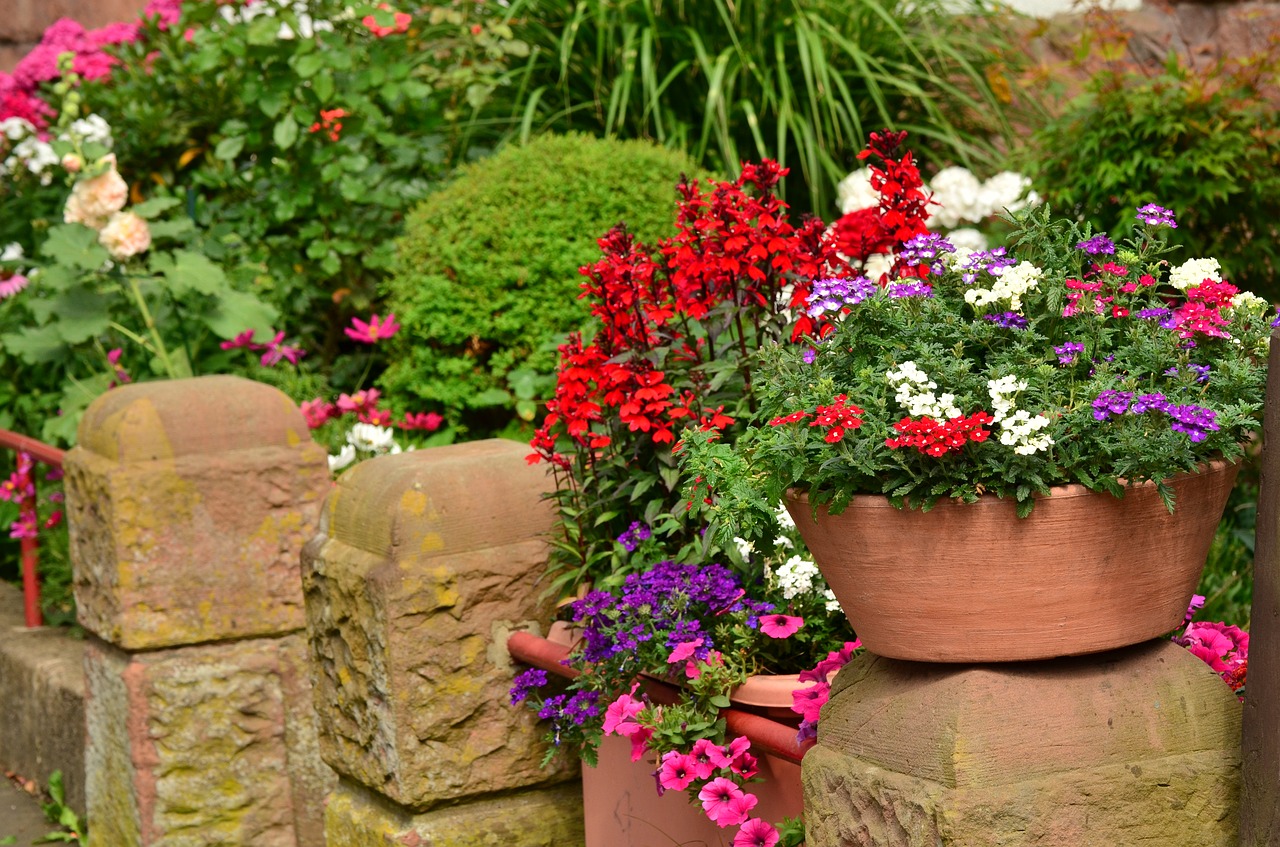 Image - summer flowers balcony plants