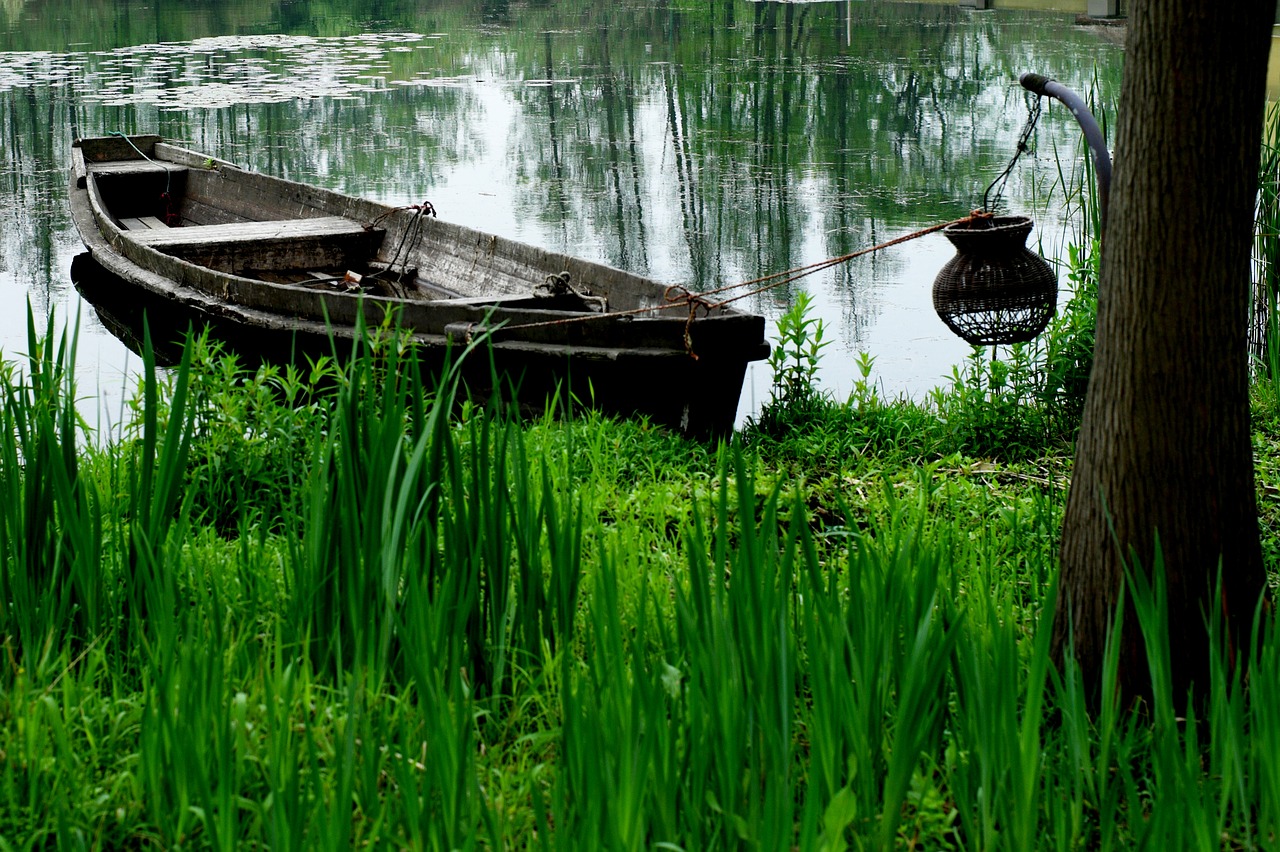 Image - wetlands wooden boat fishing autumn