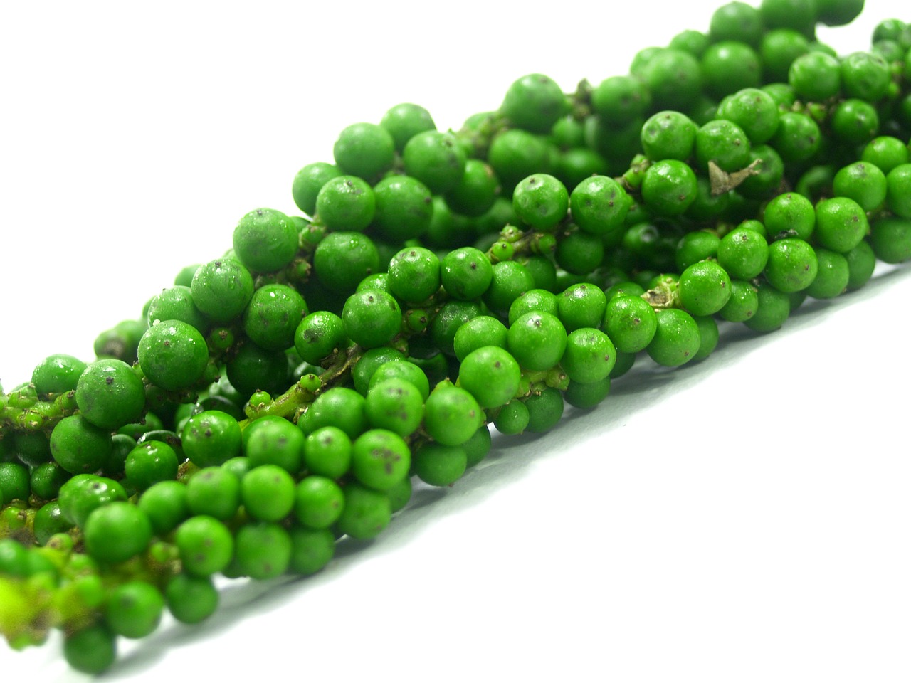 Image - antioxidant aromatic bell pepper