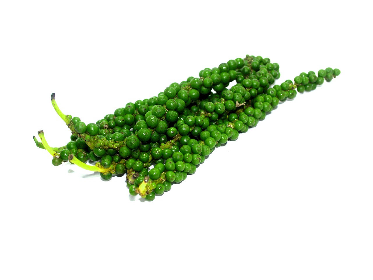 Image - antioxidant aromatic bell pepper