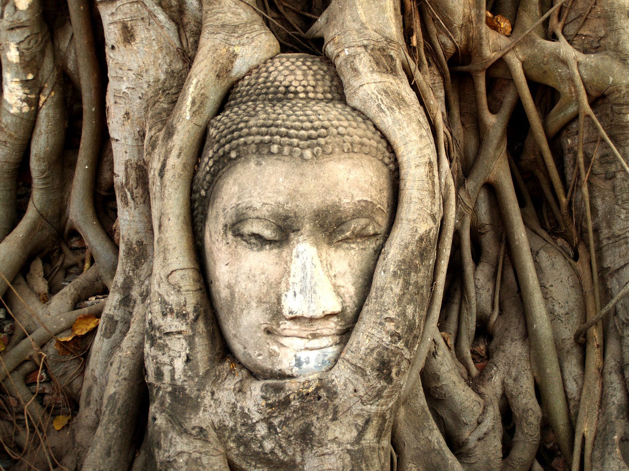 Image - ayutthaya thailand ethnicity