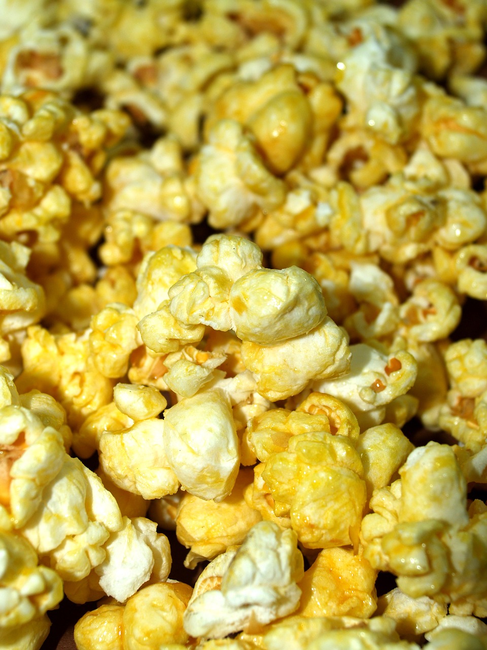 Image - popcorn corn pop box bucket