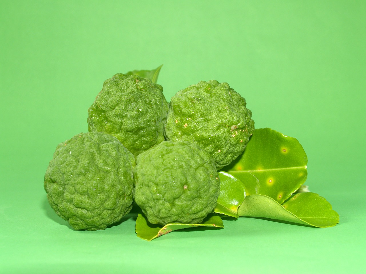 Image - bergamot fruit leaf isolated