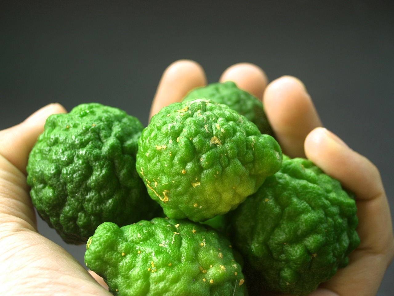 Image - bergamot fruit leaf isolated