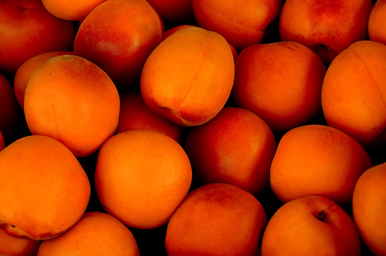 Image - apricot tropical fruit fruit fruits