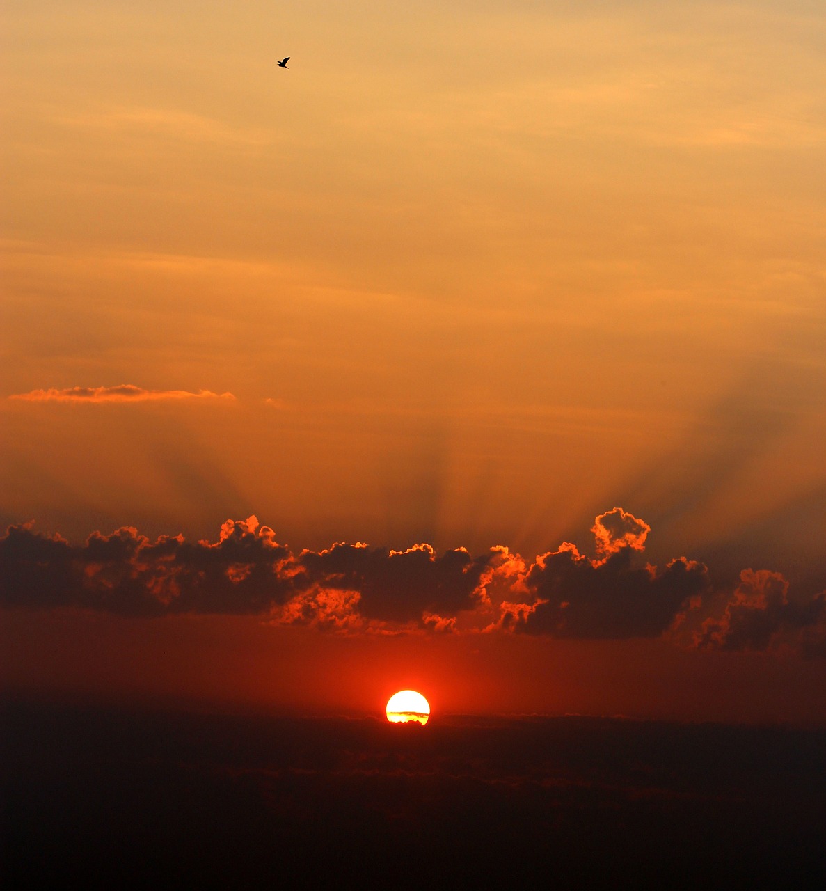 Image - sunrise cloud twilight red nice