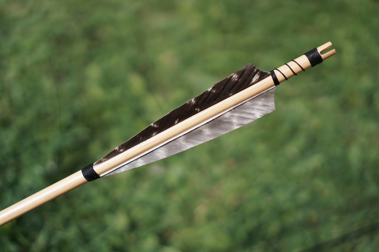 Image - arrow arrows bow and arrow archery