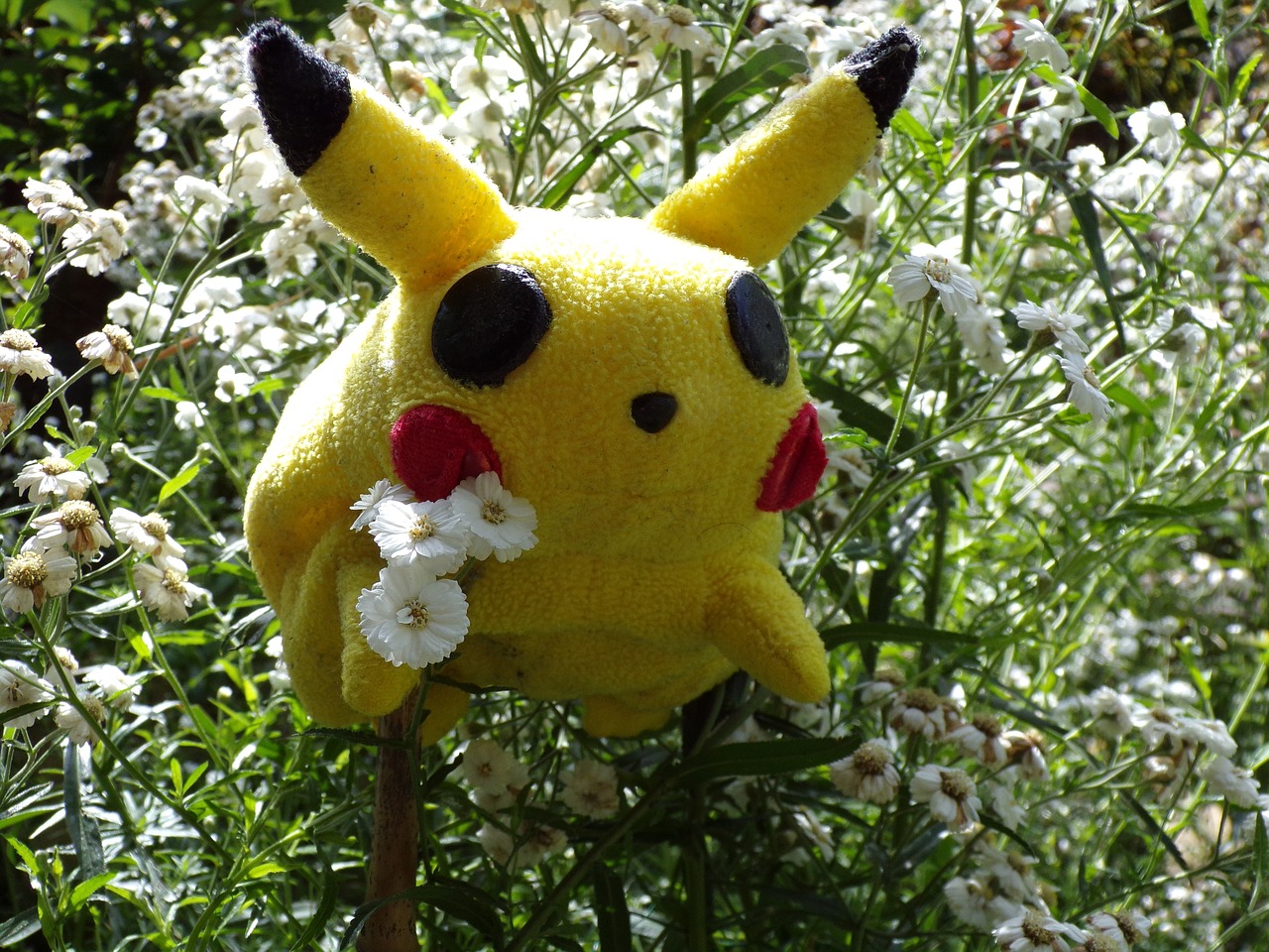 Image - pokemon comic stuffed animal toys