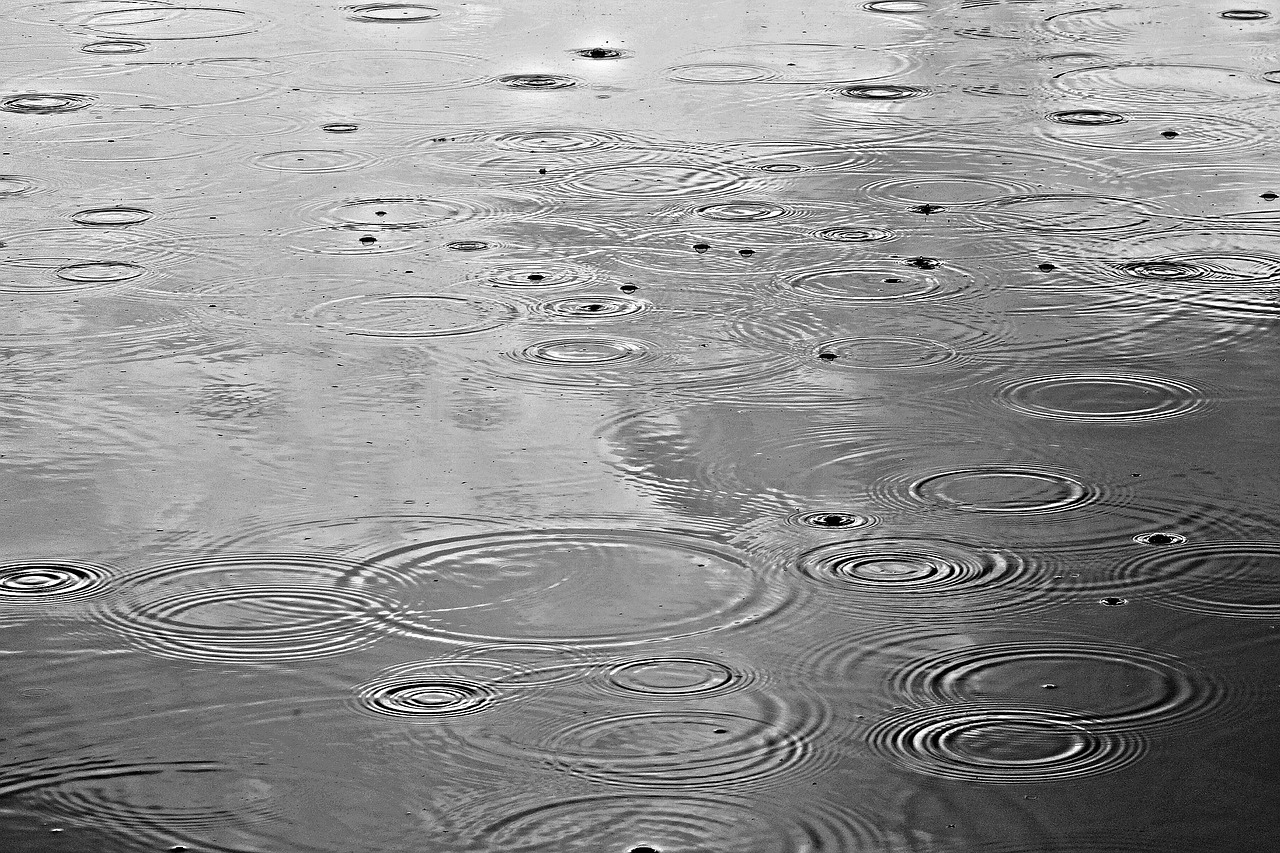 Image - rain rain drops water rain on water