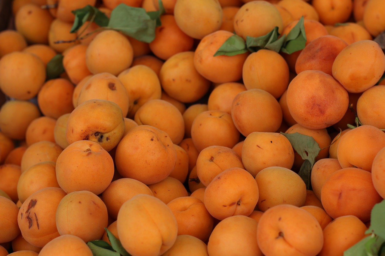 Image - apricot fruit background fresh