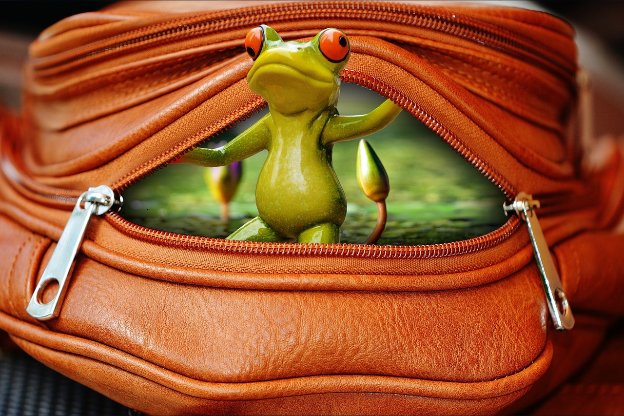 Image - frog bag zip open funny cute