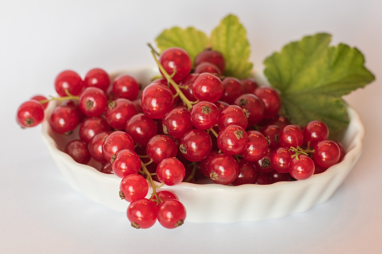 Image - currants red summer healthy fruits