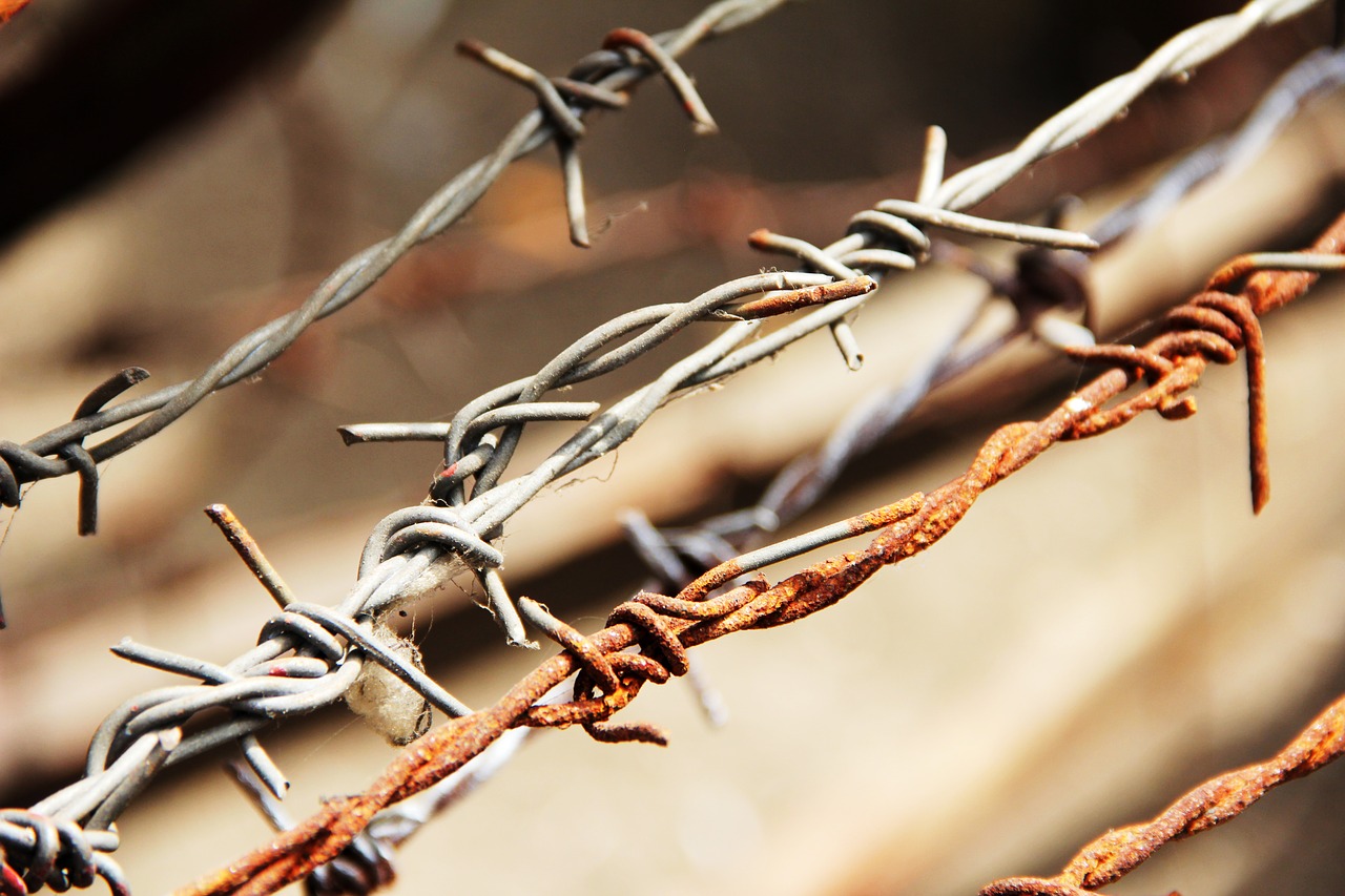 Image - barbed wire sting wire wire fence