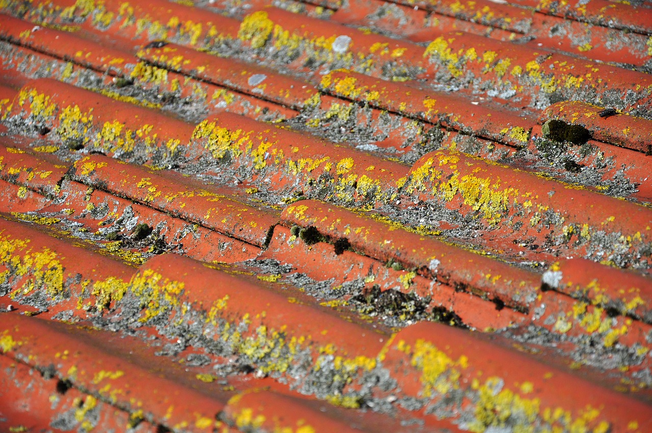 Image - roof tile clay tiles pantile red