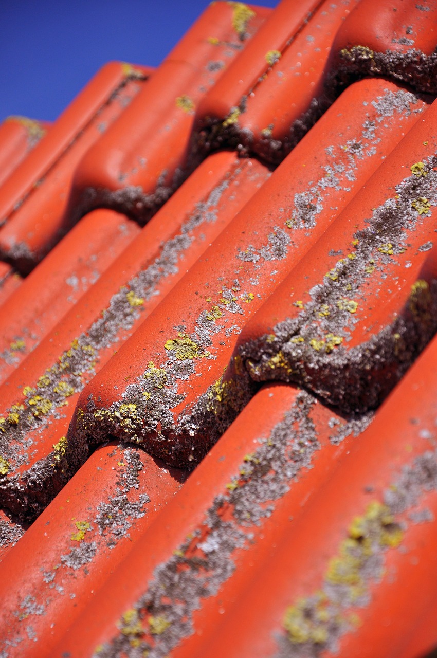 Image - roof tile clay tiles pantile red