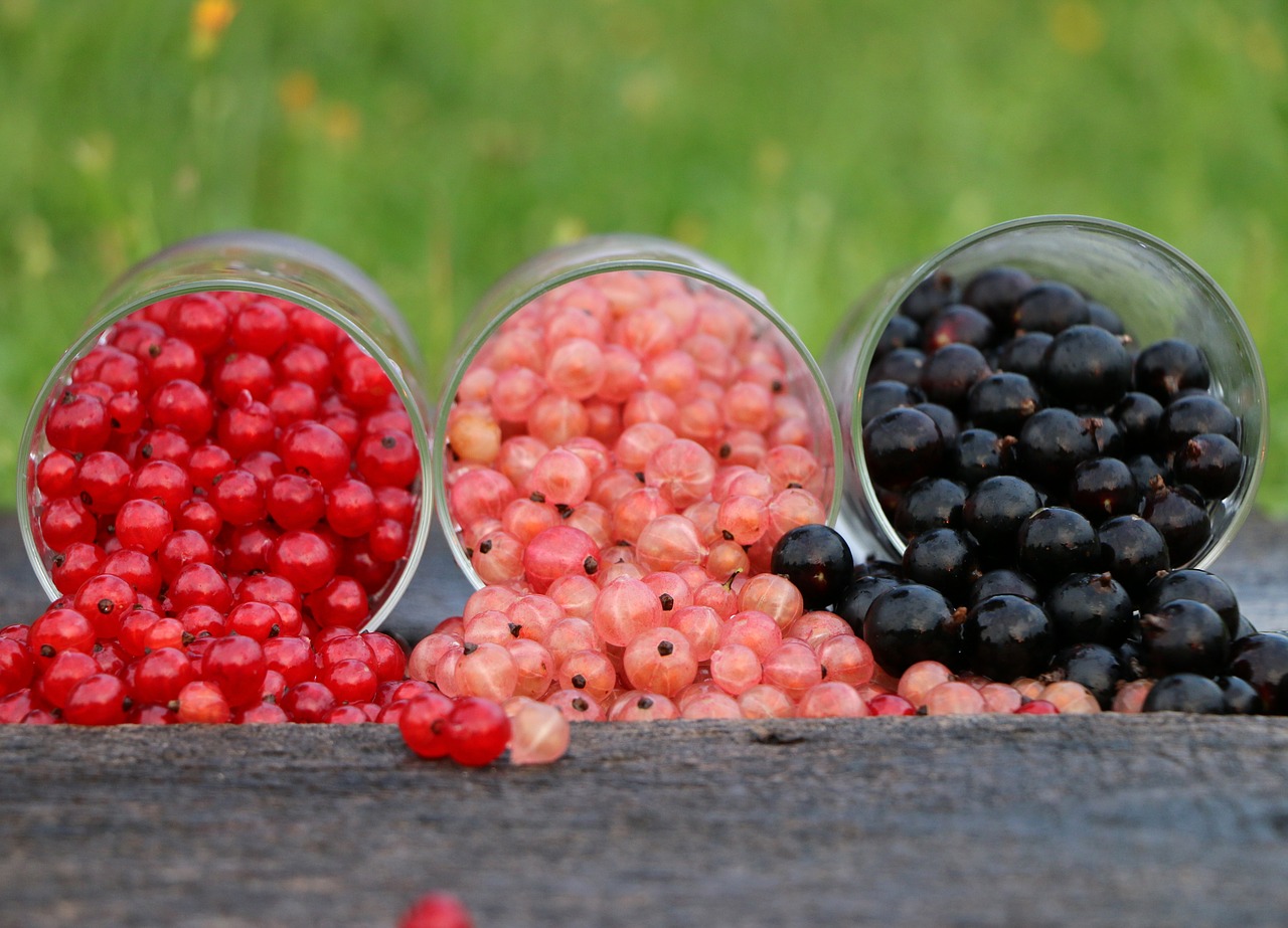 Image - currant grade glass red black