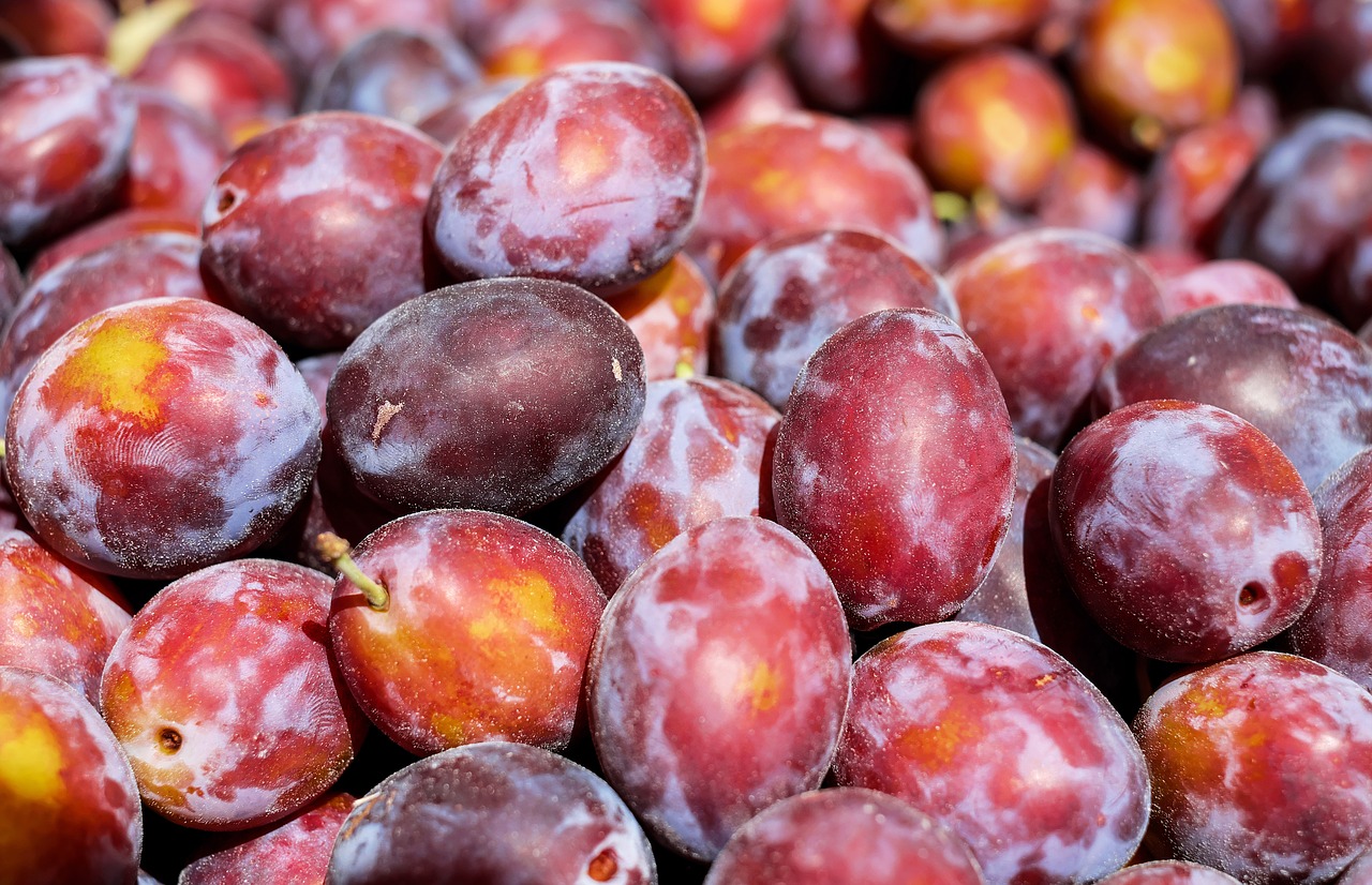 Image - plum fruit fruits violet purple