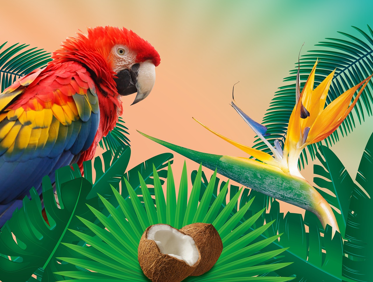 Image - tropics summer summer holiday