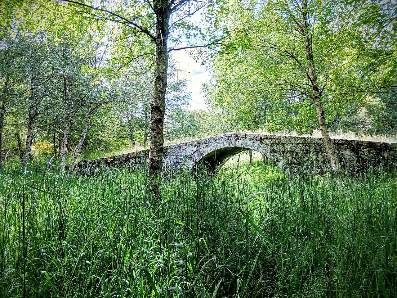 Image - bridge nature herbs ribeira sacra