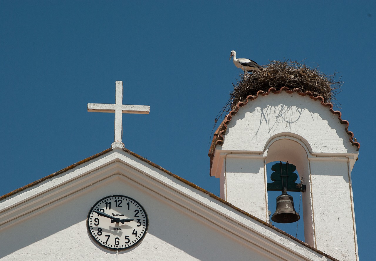 Image - portugal church nest stork