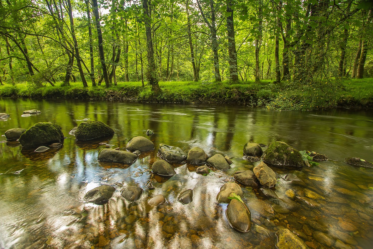 Image - river stones trees wales england