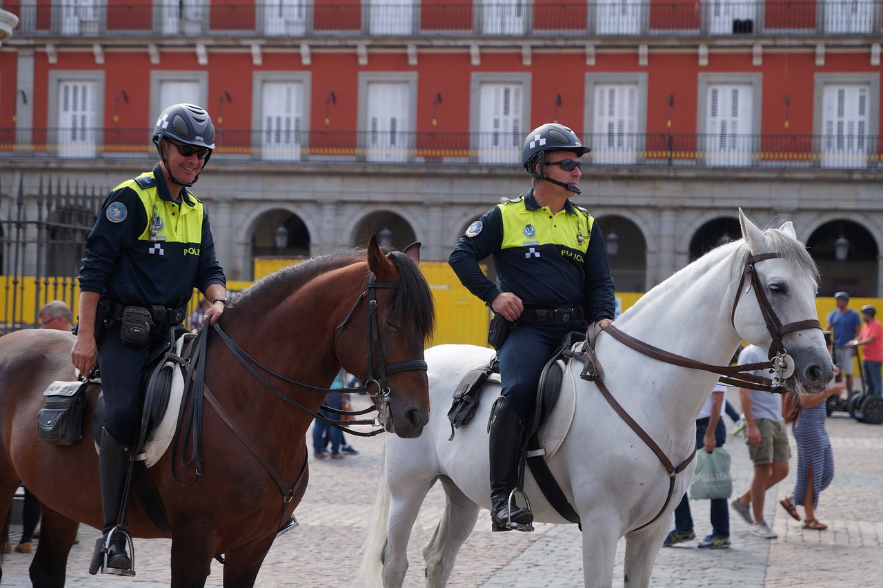 Image - mounted police policeman horse