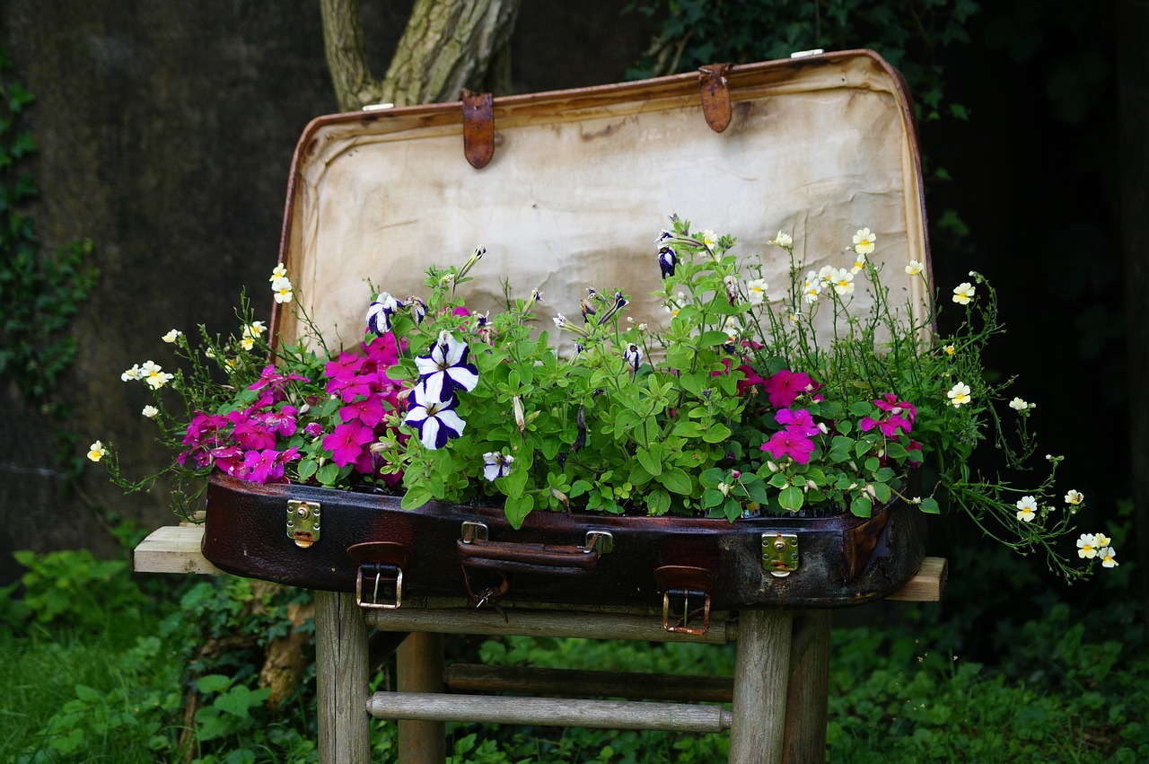 Image - luggage plant bed nature